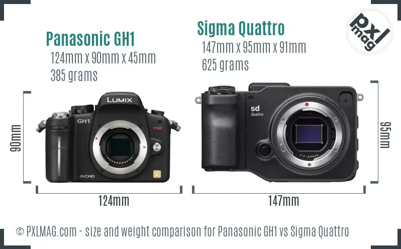 Panasonic GH1 vs Sigma Quattro size comparison