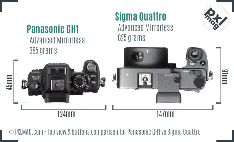 Panasonic GH1 vs Sigma Quattro top view buttons comparison