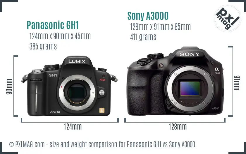 Panasonic GH1 vs Sony A3000 size comparison Panasonic GH1 vs Sony A3000 size comparison