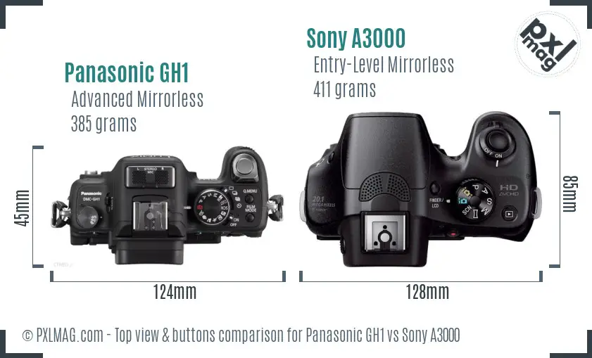 Panasonic GH1 vs Sony A3000 top view buttons comparison Panasonic GH1 vs Sony A3000 top view buttons comparison