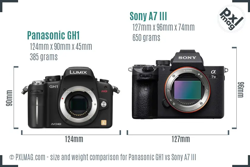 Panasonic GH1 vs Sony A7 III size comparison
