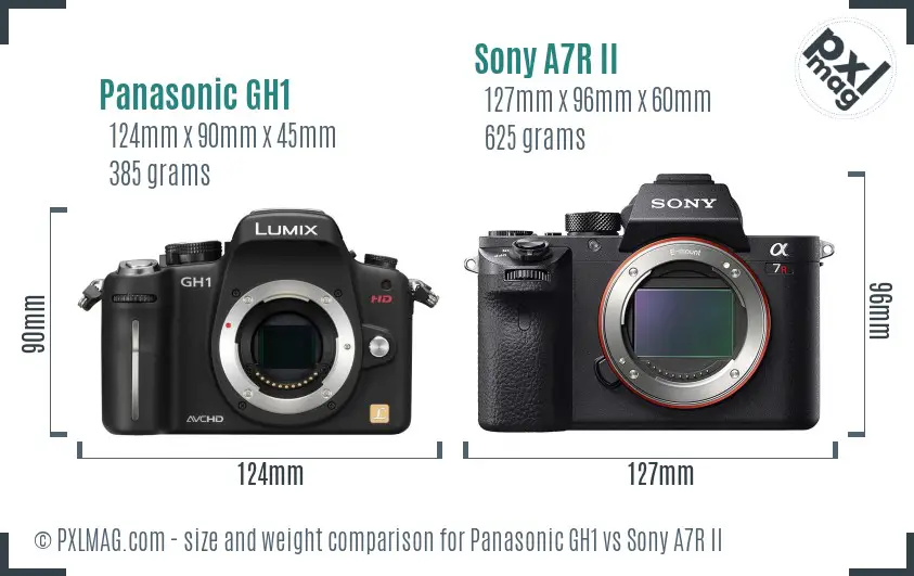 Panasonic GH1 vs Sony A7R II size comparison