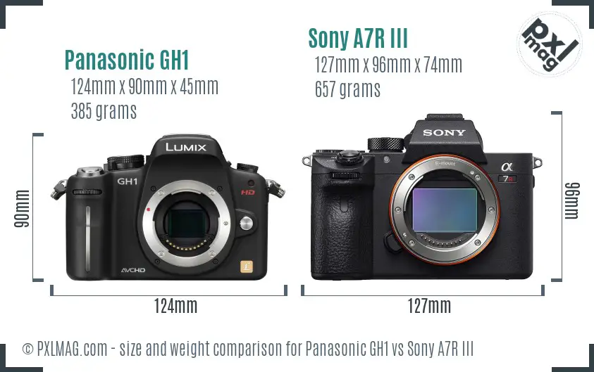 Panasonic GH1 vs Sony A7R III size comparison