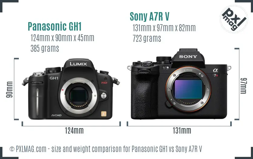 Panasonic GH1 vs Sony A7R V size comparison