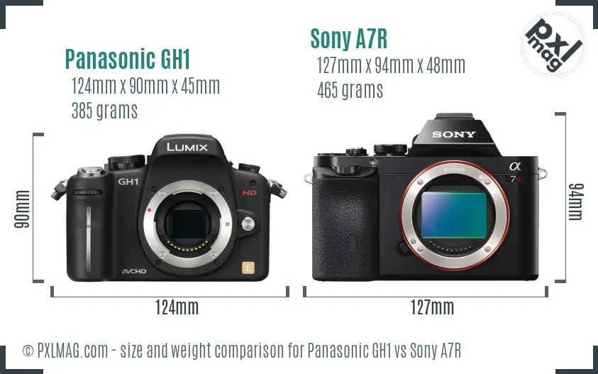 Panasonic GH1 vs Sony A7R size comparison