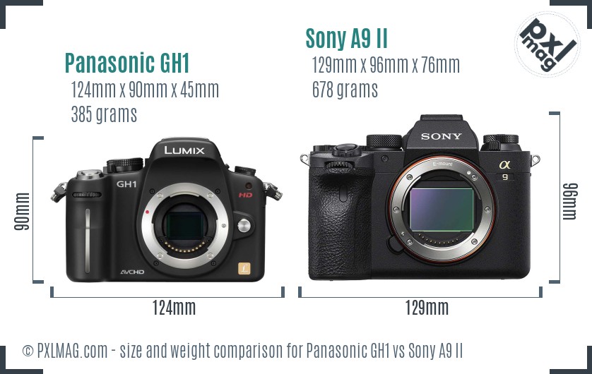 Panasonic GH1 vs Sony A9 II size comparison