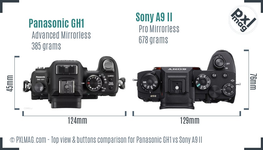 Panasonic GH1 vs Sony A9 II top view buttons comparison