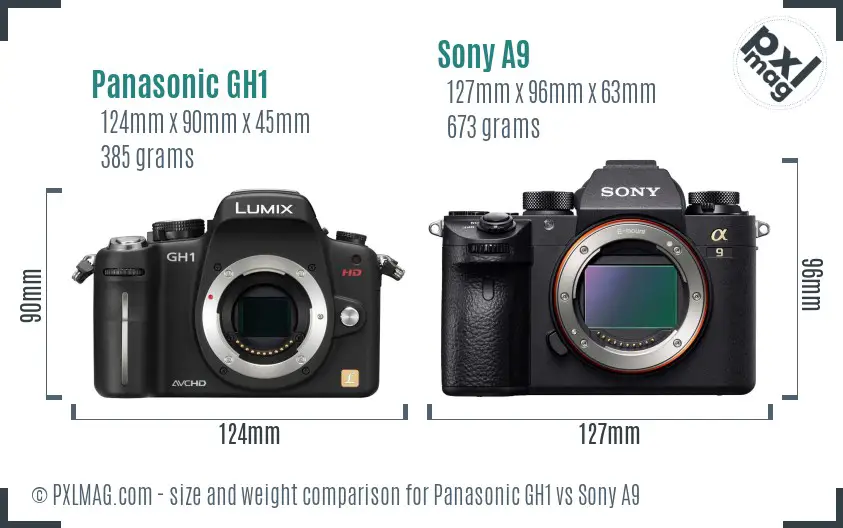 Panasonic GH1 vs Sony A9 size comparison