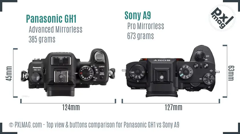 Panasonic GH1 vs Sony A9 top view buttons comparison