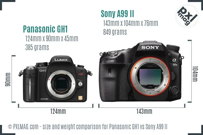 Panasonic GH1 vs Sony A99 II size comparison