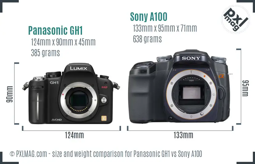 Panasonic GH1 vs Sony A100 size comparison