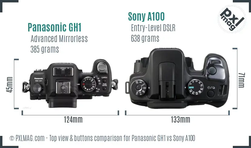 Panasonic GH1 vs Sony A100 top view buttons comparison