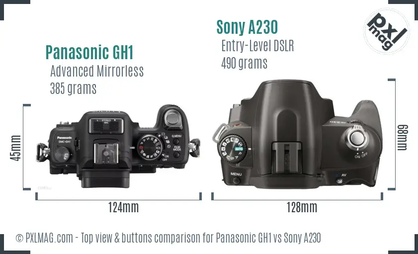 Panasonic GH1 vs Sony A230 top view buttons comparison Panasonic GH1 vs Sony A230 top view buttons comparison