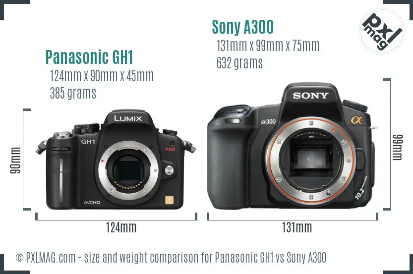 Panasonic GH1 vs Sony A300 size comparison Panasonic GH1 vs Sony A300 size comparison
