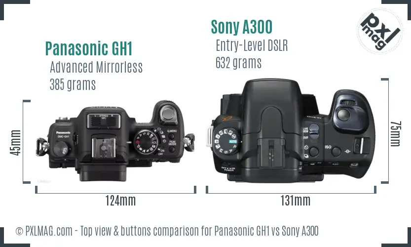 Panasonic GH1 vs Sony A300 top view buttons comparison