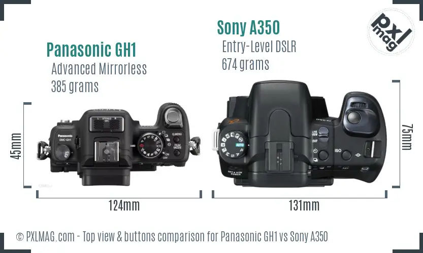 Panasonic GH1 vs Sony A350 top view buttons comparison