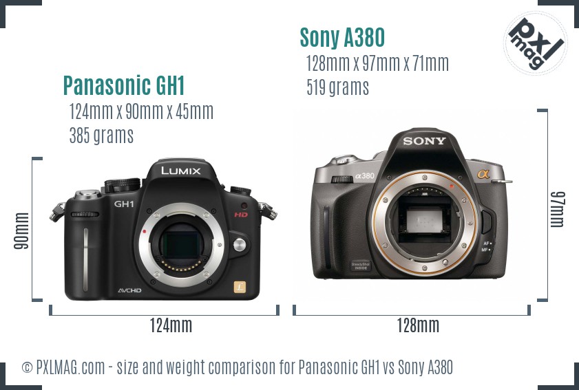 Panasonic GH1 vs Sony A380 size comparison