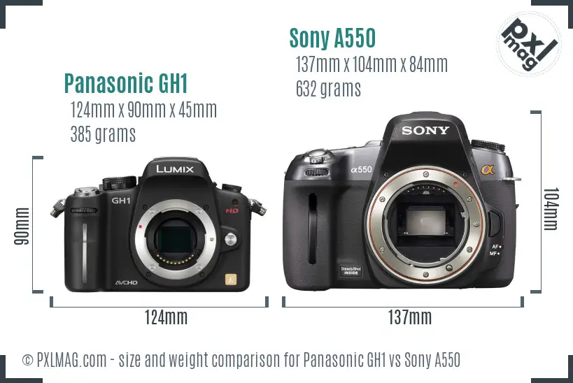 Panasonic GH1 vs Sony A550 size comparison