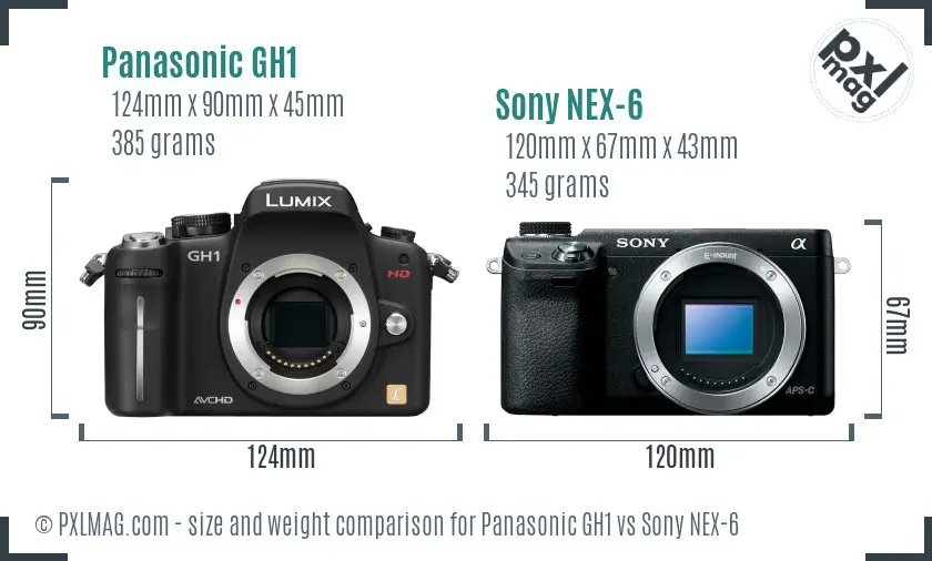 Panasonic GH1 vs Sony NEX-6 size comparison