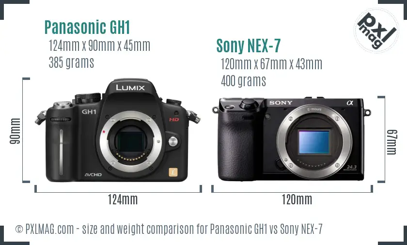 Panasonic GH1 vs Sony NEX-7 size comparison