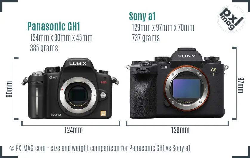 Panasonic GH1 vs Sony a1 size comparison