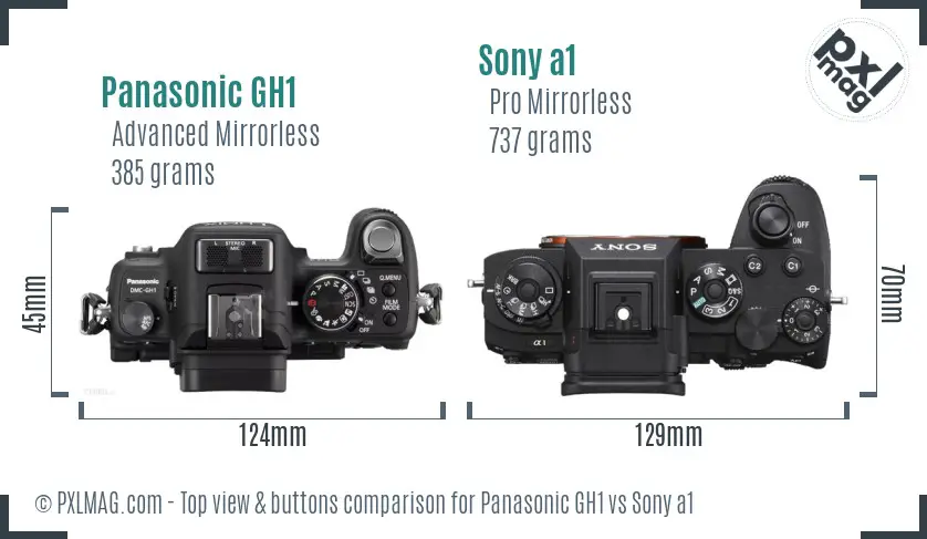 Panasonic GH1 vs Sony a1 top view buttons comparison