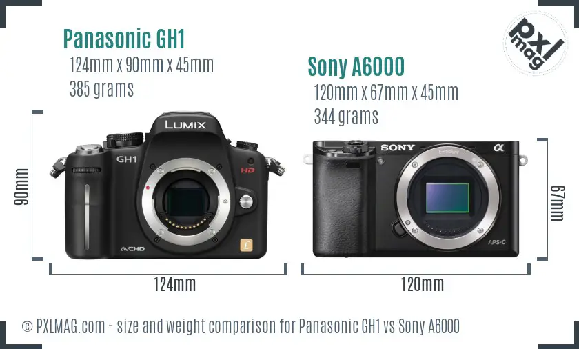 Panasonic GH1 vs Sony A6000 size comparison