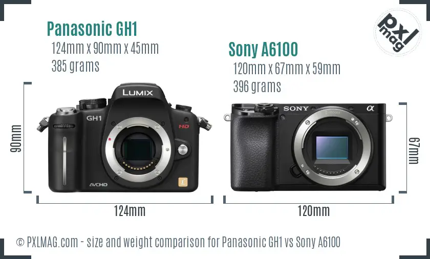 Panasonic GH1 vs Sony A6100 size comparison
