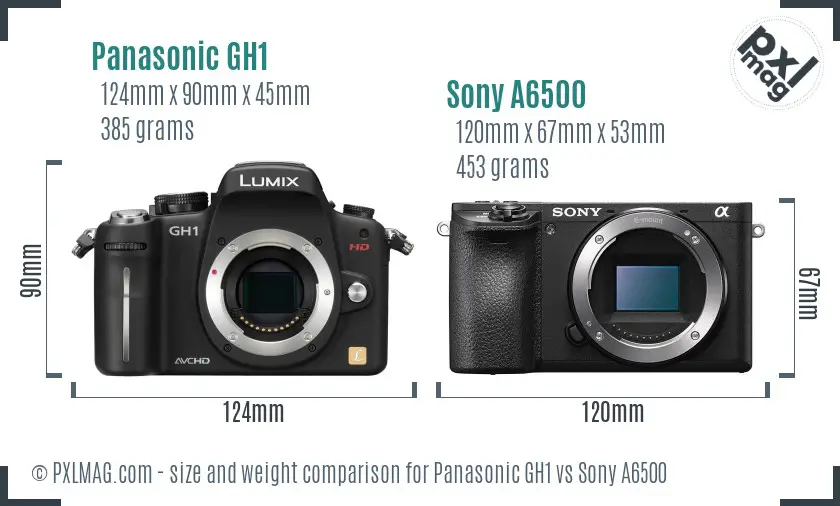 Panasonic GH1 vs Sony A6500 size comparison