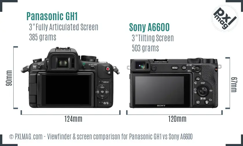 Panasonic GH1 vs Sony A6600 Screen and Viewfinder comparison