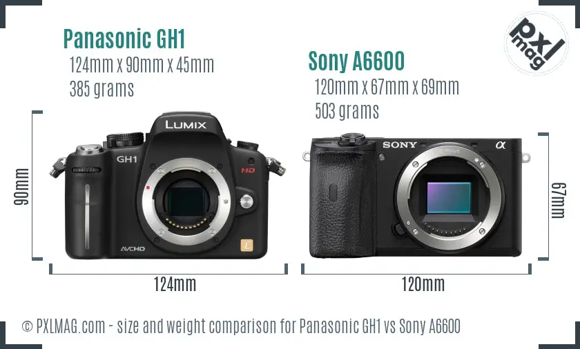 Panasonic GH1 vs Sony A6600 size comparison