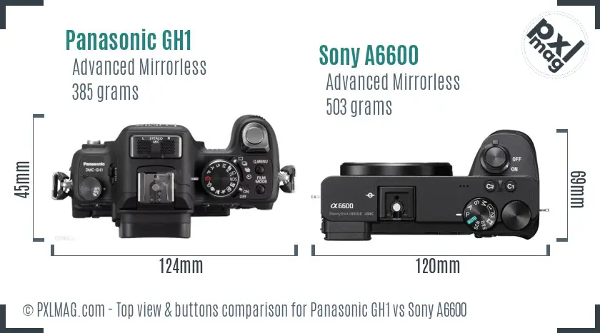 Panasonic GH1 vs Sony A6600 top view buttons comparison