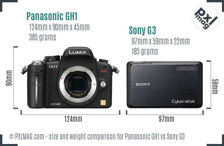 Panasonic GH1 vs Sony G3 size comparison