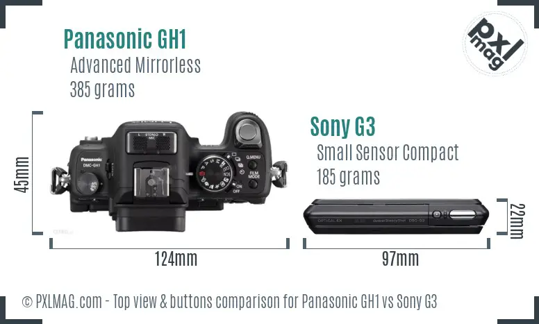 Panasonic GH1 vs Sony G3 top view buttons comparison