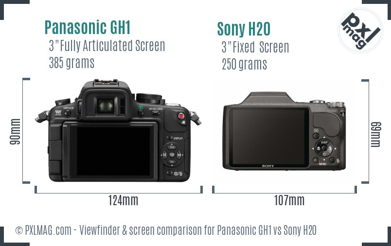 Panasonic GH1 vs Sony H20 Screen and Viewfinder comparison