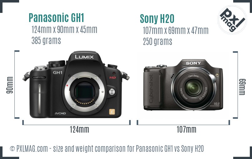 Panasonic GH1 vs Sony H20 size comparison