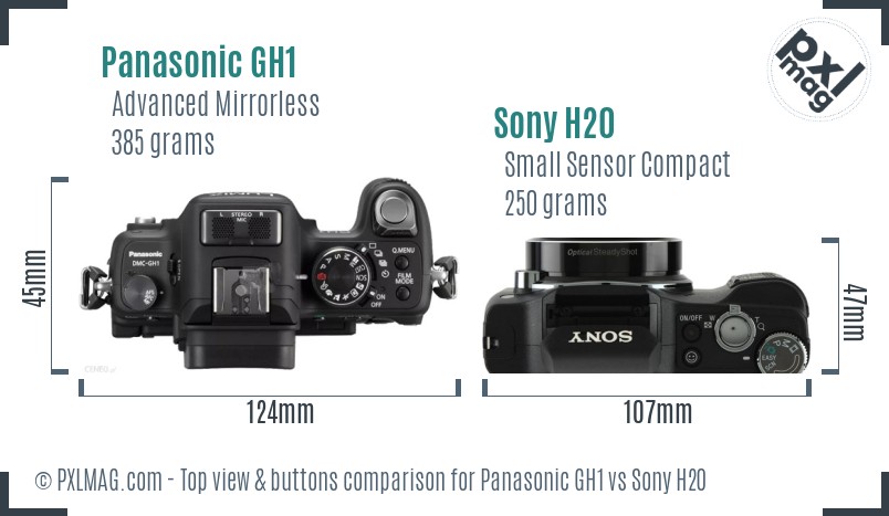 Panasonic GH1 vs Sony H20 top view buttons comparison