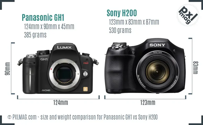 Panasonic GH1 vs Sony H200 size comparison