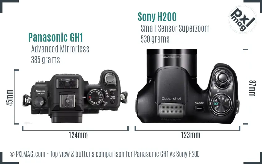 Panasonic GH1 vs Sony H200 top view buttons comparison