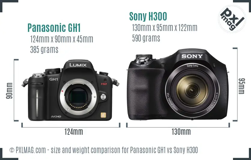 Panasonic GH1 vs Sony H300 size comparison