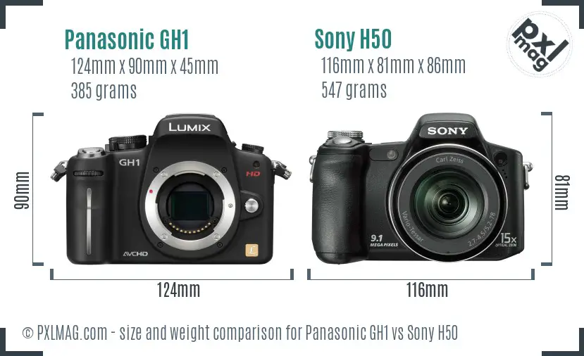 Panasonic GH1 vs Sony H50 size comparison