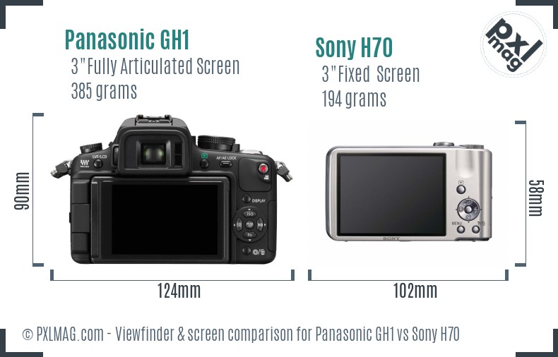 Panasonic GH1 vs Sony H70 Screen and Viewfinder comparison