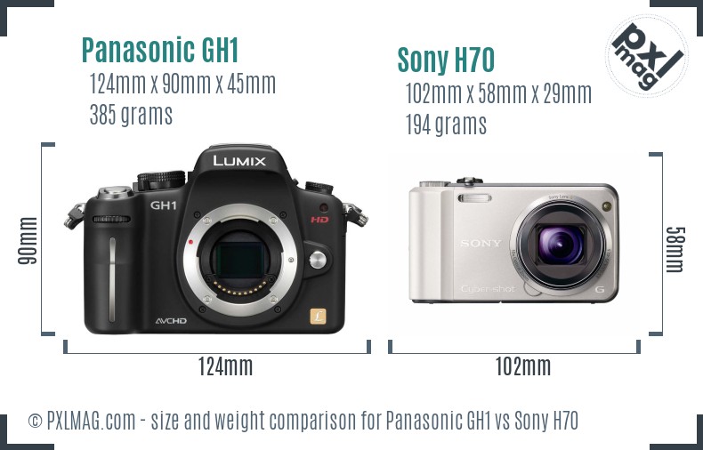 Panasonic GH1 vs Sony H70 size comparison Panasonic GH1 vs Sony H70 size comparison