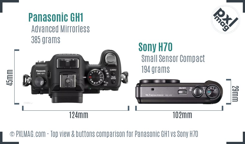 Panasonic GH1 vs Sony H70 top view buttons comparison