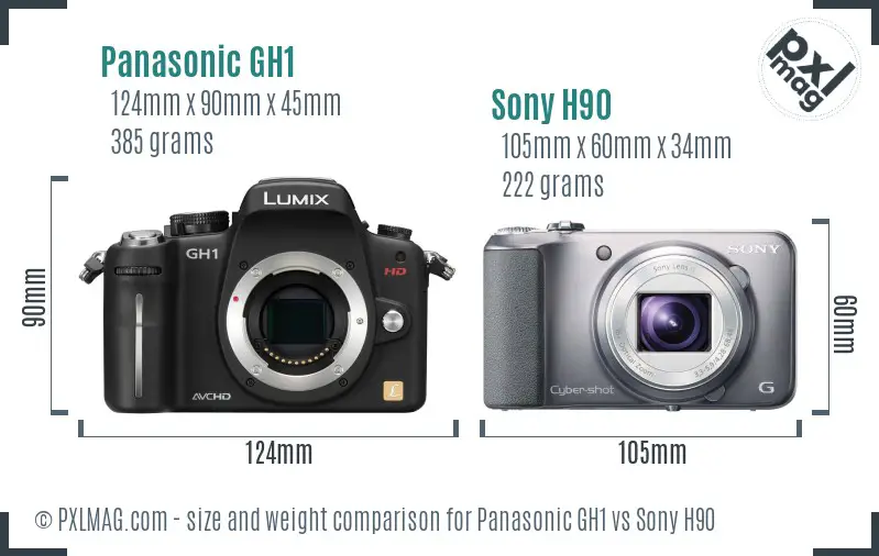 Panasonic GH1 vs Sony H90 size comparison