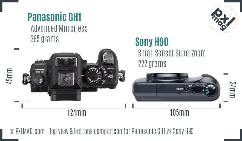 Panasonic GH1 vs Sony H90 top view buttons comparison