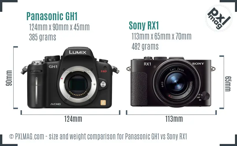 Panasonic GH1 vs Sony RX1 size comparison