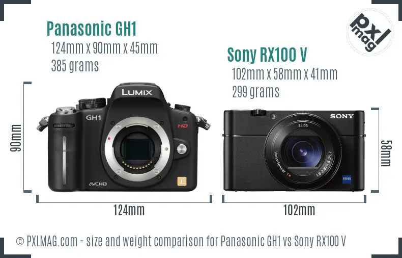Panasonic GH1 vs Sony RX100 V size comparison Panasonic GH1 vs Sony RX100 V size comparison