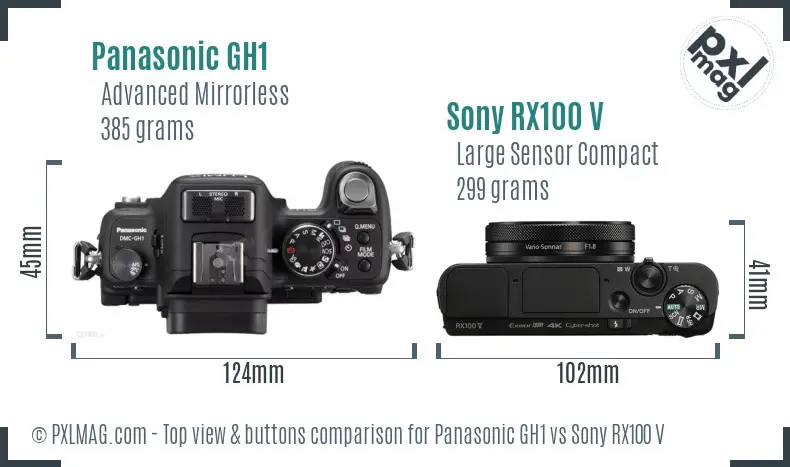 Panasonic GH1 vs Sony RX100 V top view buttons comparison Panasonic GH1 vs Sony RX100 V top view buttons comparison