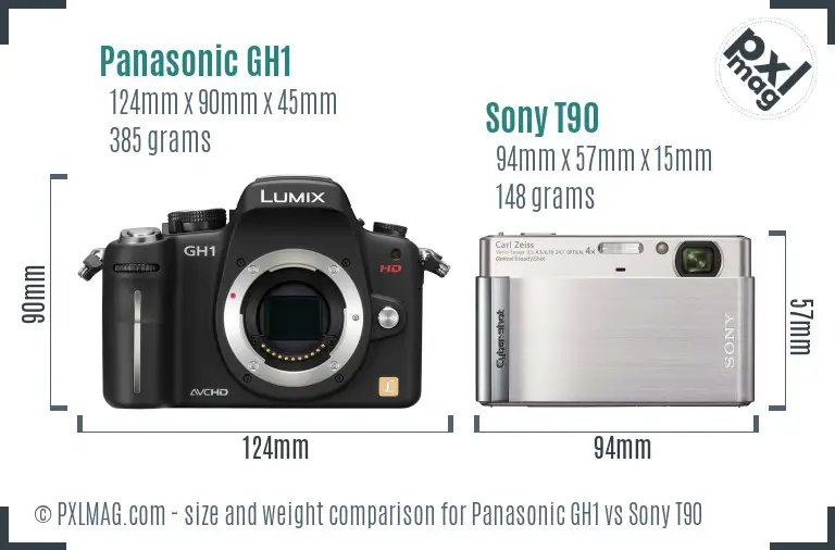 Panasonic GH1 vs Sony T90 size comparison